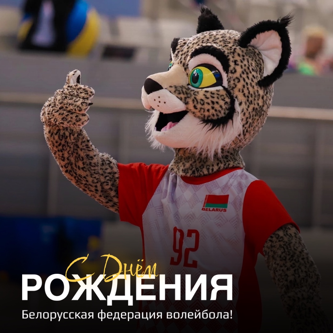Белорусской федерации волейбола - 31!