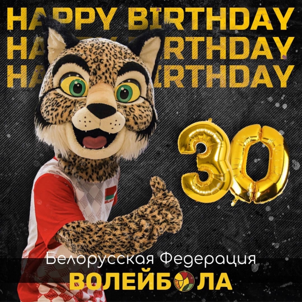 Белорусской федерации волейбола - 30 лет!